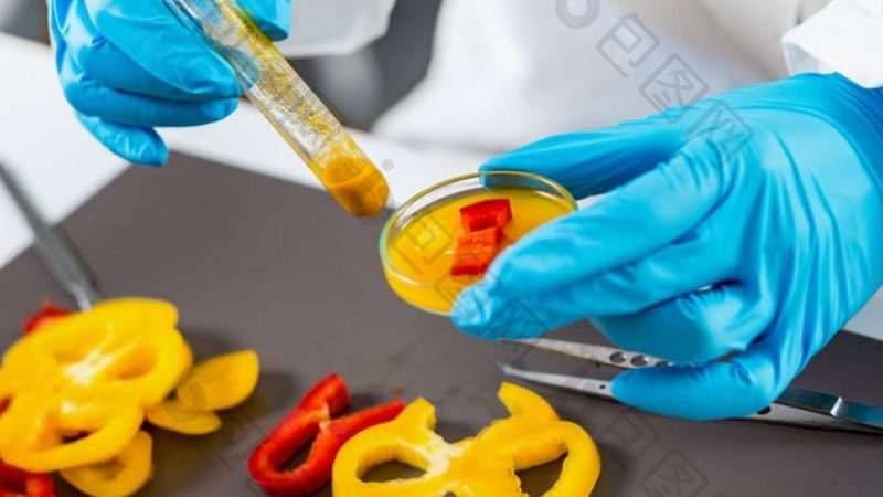 食品批发代理：货源、价格、对比的深层解析